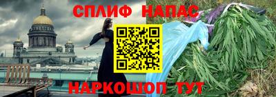 спиды Камышлов