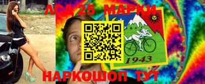 спиды Камышлов