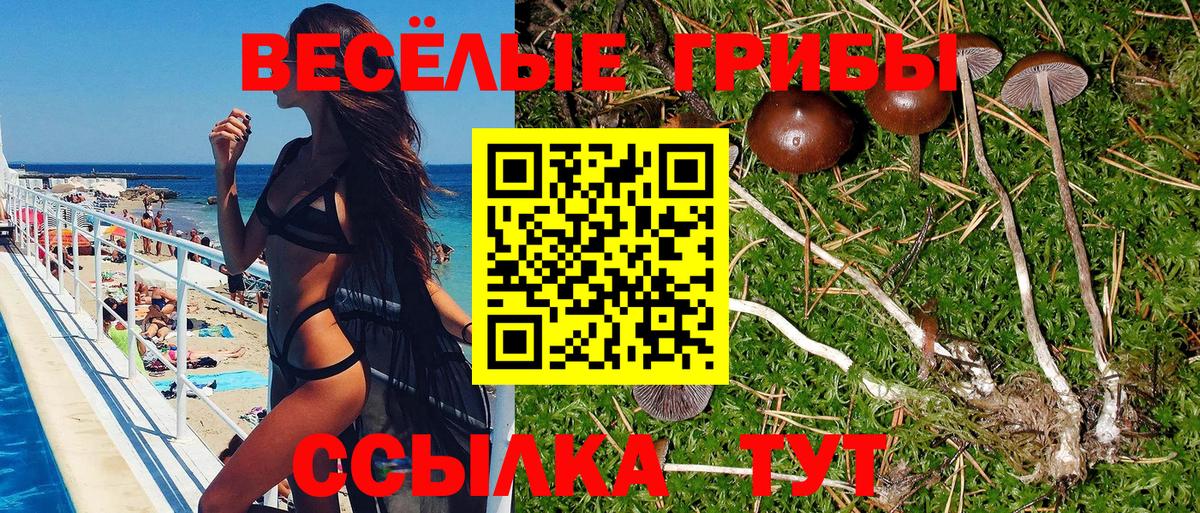 Псилоцибиновые грибы Psilocybine cubensis  Вход с VPN  Коммунар 
