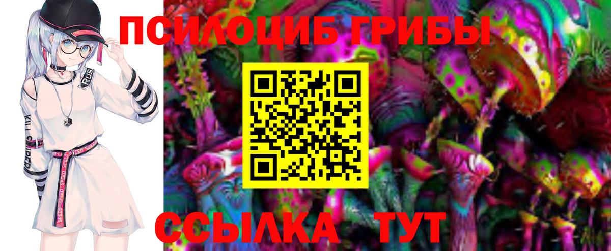 Галлюциногенные грибы Cubensis Коммунар